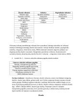 Jaunimo skurdas Lietuvoje 8 puslapis