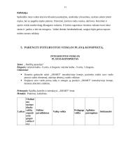 Integruota praktika ikimokyklinio ugdymo/si grupėse 10 puslapis