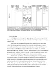 Integruota praktika ikimokyklinio ugdymo/si grupėse 11 puslapis