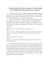 Integruota praktika ikimokyklinio ugdymo/si grupėse 2 puslapis