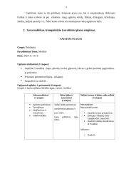 Integruota praktika ikimokyklinio ugdymo/si grupėse 3 puslapis