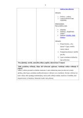 Integruota praktika ikimokyklinio ugdymo/si grupėse 5 puslapis