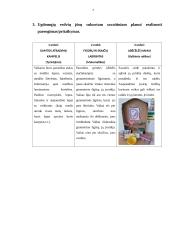 Integruota praktika ikimokyklinio ugdymo/si grupėse 6 puslapis