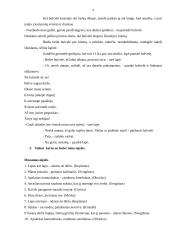 Integruota praktika ikimokyklinio ugdymo/si grupėse 8 puslapis