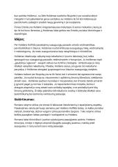 Džeromas Deividas Selindžeris - romanas „Rugiuose prie bedugnės” 2 puslapis