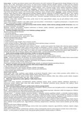 Kaimo turizmo analizė 2 puslapis