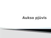 Aukso pjūvis - skaidrės