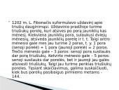 Aukso pjūvis - skaidrės 5 puslapis