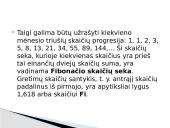 Aukso pjūvis - skaidrės 6 puslapis