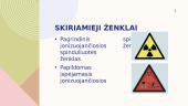 Radiacinės saugos samprata 5 puslapis
