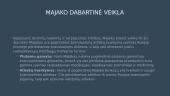 Čeliabinsko sritis ir „Majak” gamykla 8 puslapis