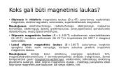 Magnetinis laukas - skaidrės 13 puslapis