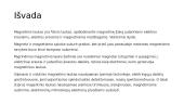Magnetinis laukas - skaidrės 17 puslapis