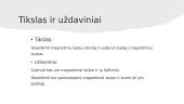 Magnetinis laukas - skaidrės 2 puslapis