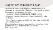 Magnetinis laukas - skaidrės 6 puslapis