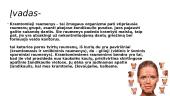 Kramtomieji raumenys 2 puslapis