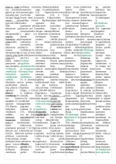 Kraujas. Širdies fiziologija 6 puslapis