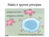 Infekcinės ligos ir imunitetas 13 puslapis