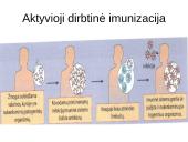 Infekcinės ligos ir imunitetas 20 puslapis