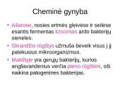 Infekcinės ligos ir imunitetas 5 puslapis