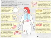 Infekcinės ligos ir imunitetas 7 puslapis