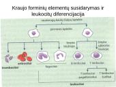 Infekcinės ligos ir imunitetas 9 puslapis