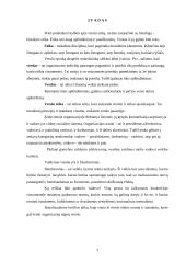 Kritikos etika 2 puslapis