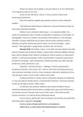 Kritikos etika 12 puslapis