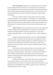 Kritikos etika 17 puslapis