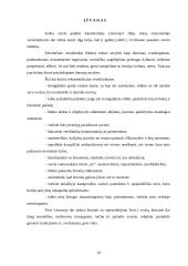 Kritikos etika 19 puslapis