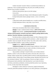 Kritikos etika 4 puslapis