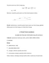 Aplinkos ir žmonių saugos praktiniai darbai 4 puslapis