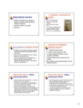 Raidos teorijos. Paskaitų medžiaga 11 puslapis