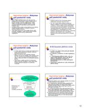 Raidos teorijos. Paskaitų medžiaga 12 puslapis