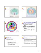 Raidos teorijos. Paskaitų medžiaga 16 puslapis