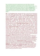 Makroekonomikos temos egzaminui