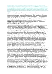 Makroekonomikos temos egzaminui 4 puslapis