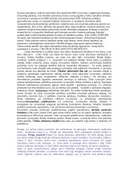 Makroekonomikos temos egzaminui 5 puslapis