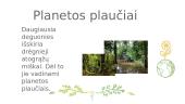 Augalų mityba (skaidrės) 8 puslapis