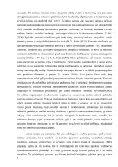 Filmo „Gyveno kartą Uvė“ analizė 2 puslapis