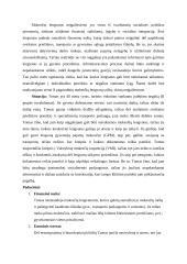 Mokesčių lengvatos neįgaliesiems