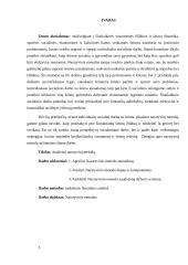 Naratyvinio metodo taikymas dirbant individualų socialinį darbą su šeima 2 puslapis