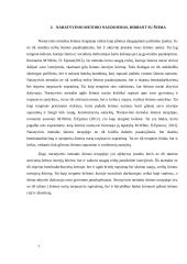 Naratyvinio metodo taikymas dirbant individualų socialinį darbą su šeima 6 puslapis