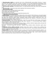 Makroekonomikos pradmenų teorija