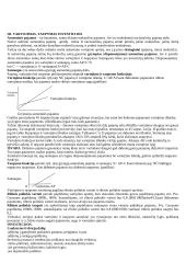 Makroekonomikos pradmenų teorija 4 puslapis