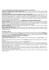 Makroekonomikos pradmenų teorija 6 puslapis