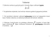 Vektorių algebros elementai. Vektorių veiksmai 3 puslapis