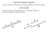 Vektorių algebros elementai. Vektorių veiksmai 7 puslapis