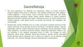 Dauno sindromo situacija – edukaciniai aspektai 13 puslapis