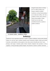 Infrastruktūros (ne)pritaikymas asmenims, turintiems judesio ir padėties sutrikimų. Praktinis darbas 8 puslapis